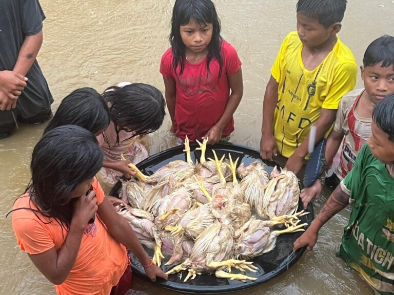 Comunidades del Medio Baudó, afectadas por las lluvias.