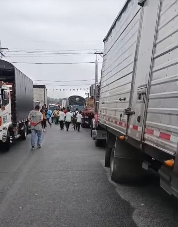 WhatsApp Image 2025-10-29 at 3.39.50 PM