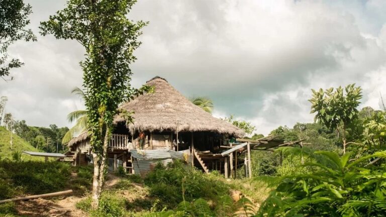 Tutela interpuesta por Defensoría del Pueblo garantiza derechos fundamentales de más de 2.330 personas indígenas en Chocó