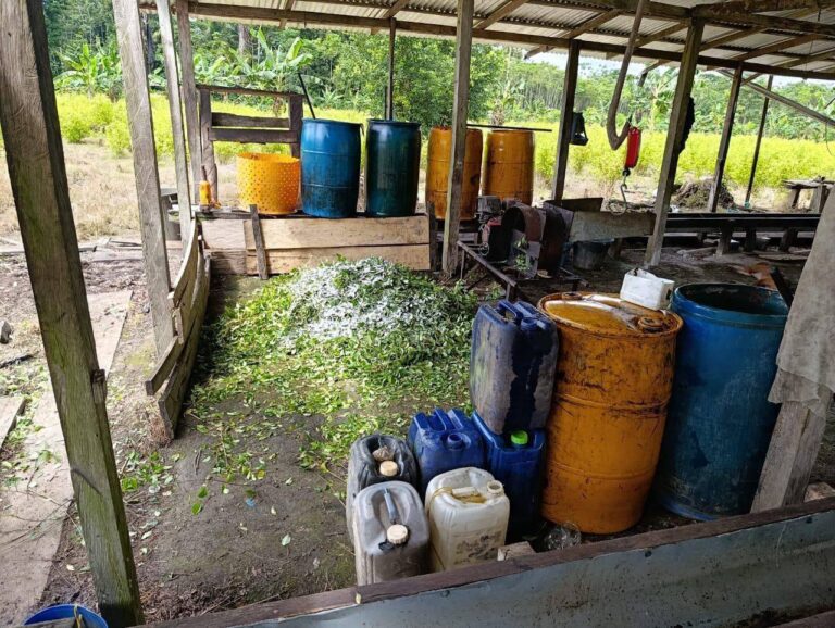 Destruyen laboratorio de pasta base de coca en Carmen del Darién