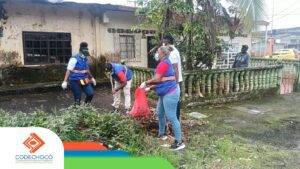 Codechocó intensifica el control de caracol gigante africano en Quibdó