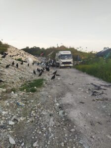 Responsabilizan a la alcaldía de Istmina y a Codechoco de la actual crisis de basuras por la que atraviesa la capital de la provincia del San Juan.