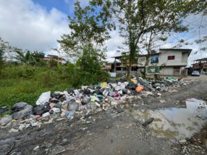 Responsabilizan a la alcaldía de Istmina y a Codechoco de la actual crisis de basuras por la que atraviesa la capital de la provincia del San Juan.